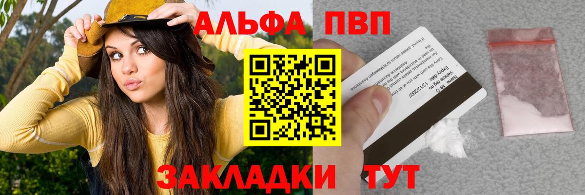 Бийск  где найти   Вход с VPN  Alfa_PVP СК КРИС  Альфа ПВП СК 