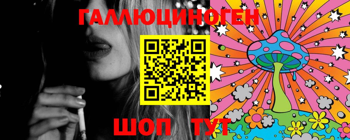 купить наркотик  Галлюциногенные грибы Psilocybe  Вход с VPN  Бийск 