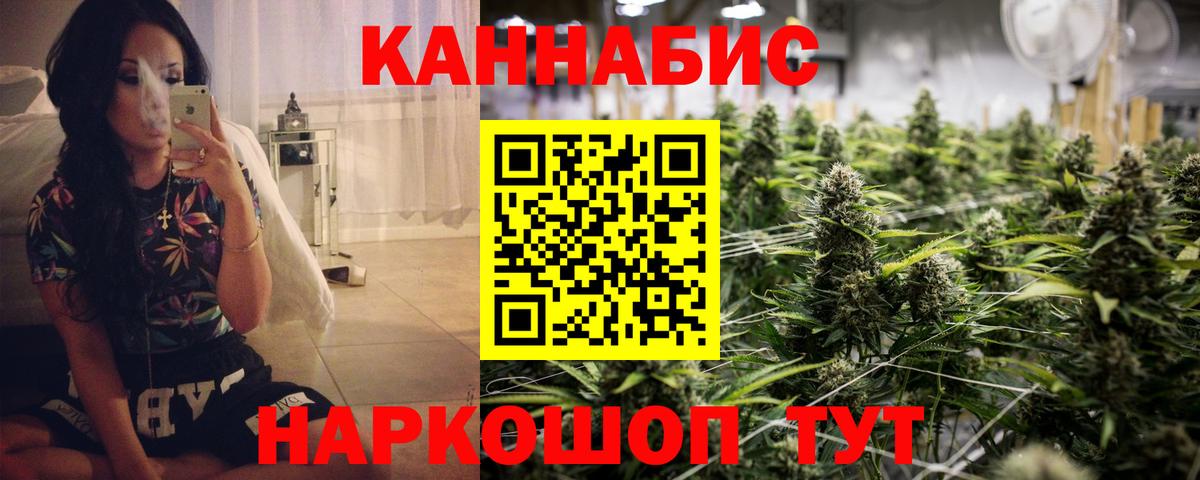 Конопля ГИДРОПОН  Каннабис THC 21%  Вход с VPN  Каннабис Bruce Banner  МАРИХУАНА сатива  Бийск 